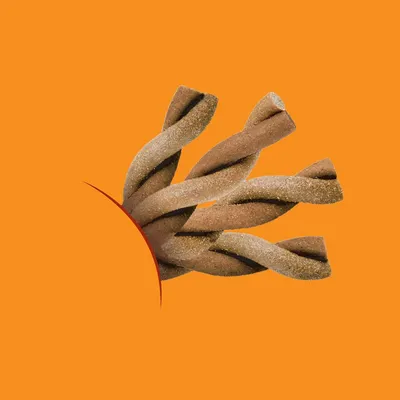Twisted brown and beige chew sticks with a textured surface, partially shown against an orange background.