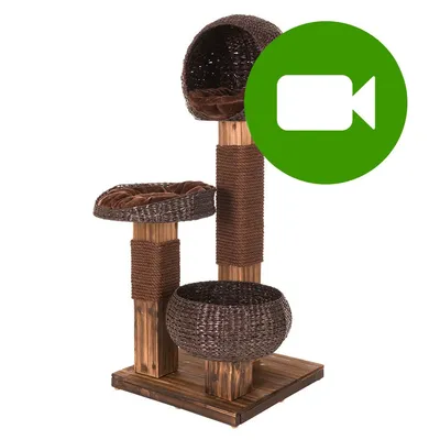 Burned Wood drapak dla kota