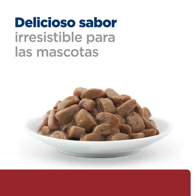 Comida húmeda para mascotas en un plato blanco. Texto visible: Delicioso sabor irresistible para las mascotas.