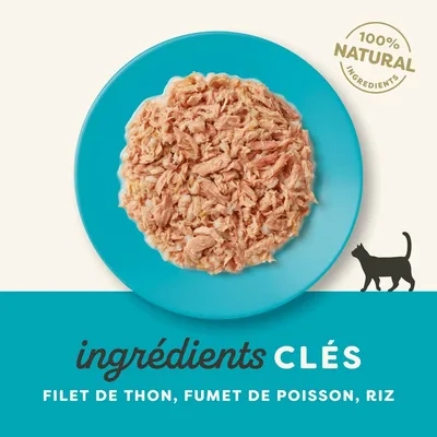 Lot de boîtes Applaws 24 x 156 g