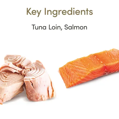 Ingredientes principales: filete de atún y salmón. La imagen muestra filete de atún fresco y trozo de salmón como ingredientes.