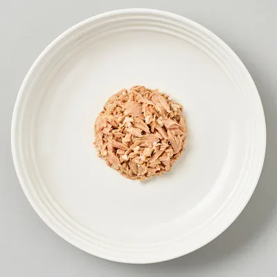 Nahaufnahme von zerkleinertem Thunfisch und Reis auf einem weissen Teller, zeigt die Konsistenz des Nassfutters.