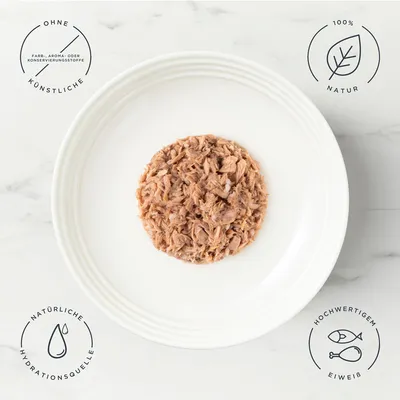 Encore Cat Pouch in Brühe 5 x 50 g