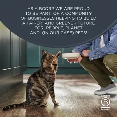 Økonomipakke Encore Kitten Jelly Pouch 10 x 50 g Økonomipakke Encore Kitten Jelly Pouch 10 x 50 g