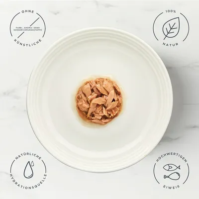 Encore Cat Gravy Pouch Mixpaket 5 x 50 g