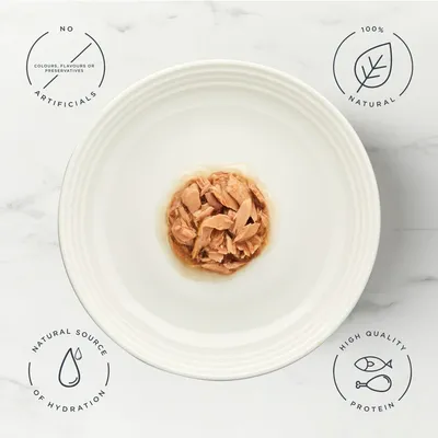 Encore Cat Gravy Pouch Mix Multibuy 20 x 50g