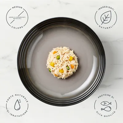 Provalo! Set misto Encore in Gelatina Alimento umido per cani