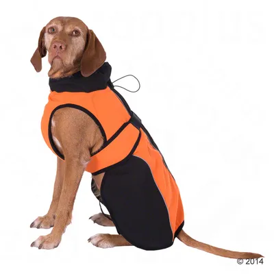 Manteau Smartpet en softshell
