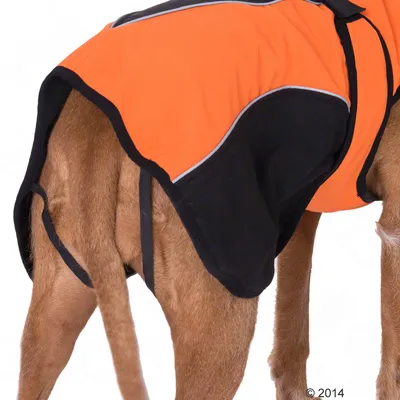 Manteau Smartpet en softshell