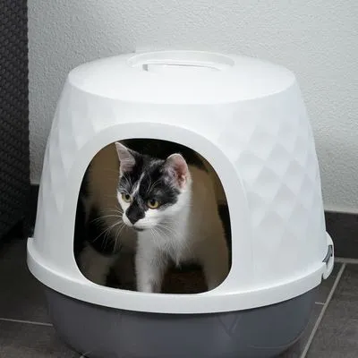 Chat noir et blanc visible à l’entrée d’une maison de toilette pour chat en plastique blanc et gris, forme arrondie avec ouverture frontale large.