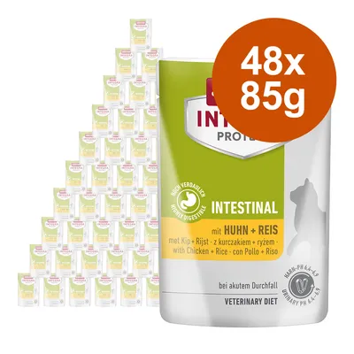 Ekonomično pakiranje animonda Integra Protect Adult Intestinal 48 x 85 g