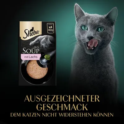 Sheba Soup mit Lachs, Packung x4 40g. Ausgezeichneter Geschmack, dem Katzen nicht widerstehen können.