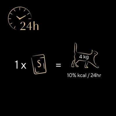 Lot économique 80 × 40 g – multipack Sheba Classic Soup en sachets