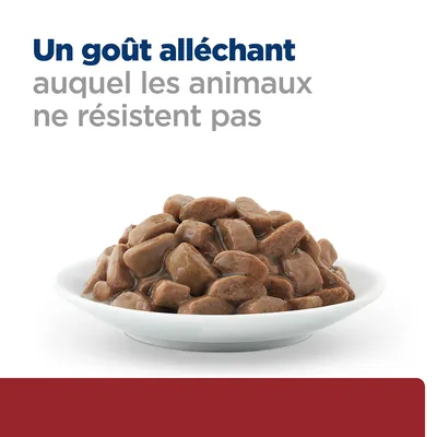Assiette de bouchées en sauce pour animaux. Texte visible : « Un goût alléchant auquel les animaux ne résistent pas ».