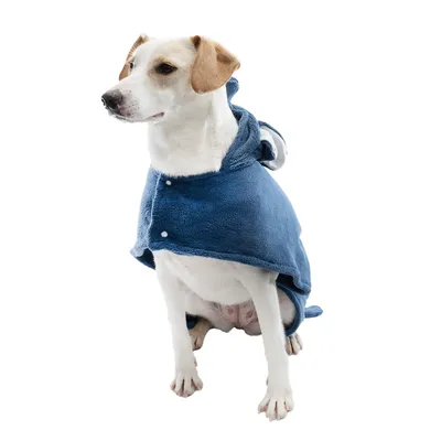 Dog wearing a blue coat with press studs and hood. Product shows design and fit of the coat.