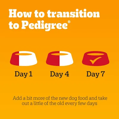 Transition guide to Pedigree: gradually replace old dog food with new over seven days, increasing the amount of new food and reducing old food every few days.