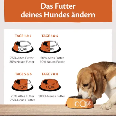 Fütterungsanleitung zur Umstellung des Hundefutters: Tage 1-2 75% altes Futter, 25% neues Futter; Tage 3-4 50%/50%; Tage 5-6 25%/75%; Tage 7-8 100% neues Futter. Hund frisst aus CORE-Napf.