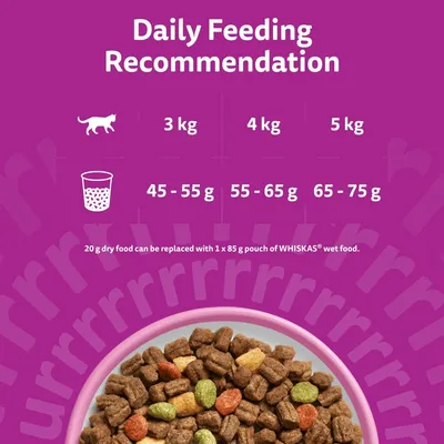 Whiskas 1+ Salmon - Economy Pack: 2 x 1.9kg