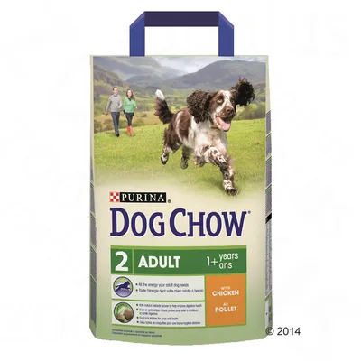 Opakowanie Purina Dog Chow 2 Adult 1+ years, z kurczakiem. Widoczny pies na łące, poniżej tekst: with chicken, natural prebiotic, dual kibble sizes for oral health.
