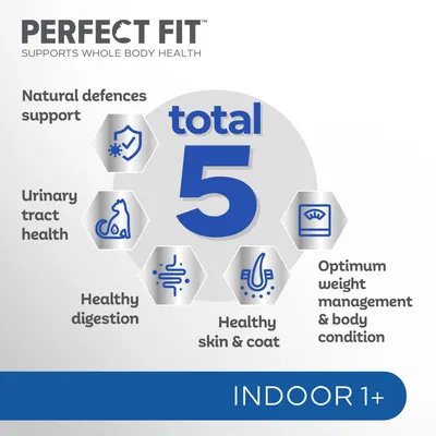 PERFECT FIT total 5, podpora obranyschopnosti, zdraví močových cest, zdravé trávení, zdravá kůže a srst, optimální hmotnost. Text: INDOOR 1+.