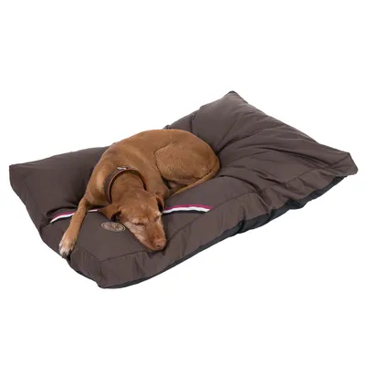 Braunes Hundekissen mit gestreiftem Design und Logo, darauf liegt ein brauner Hund. Produkt zur Veranschaulichung der Nutzung.