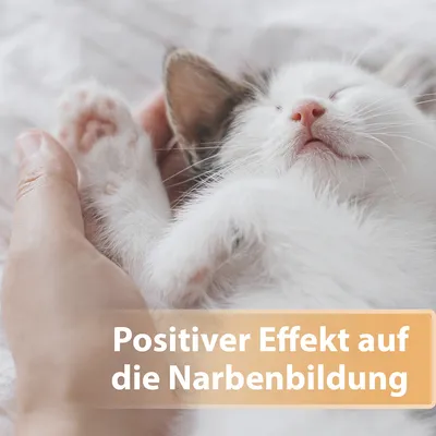 Positiver Effekt auf die Narbenbildung.