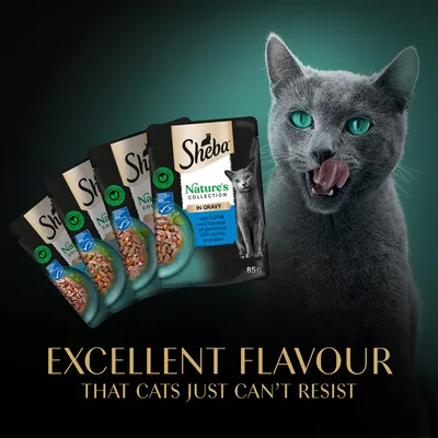 Sheba Nature's Collection in Gravy macskaeledel tasakok, 85 g, tonhallal, lenmagolajjal, sárgarépával és borsóval. Felirat: EXCELLENT FLAVOUR THAT CATS JUST CAN'T RESIST.