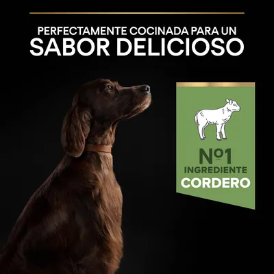 Texto: Perfectamente cocinada para un sabor delicioso. Sello verde con dibujo de cordero y texto: Nº1 ingrediente cordero. Perro marrón de perfil sobre fondo negro.