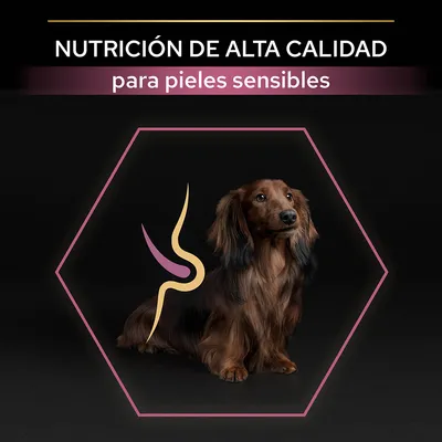 Texto: Nutrición de alta calidad para pieles sensibles. Imagen de un perro pequeño de pelo largo dentro de un hexágono con gráfico decorativo en el cuerpo.