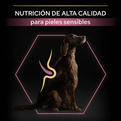 Texto: NUTRICIÓN DE ALTA CALIDAD para pieles sensibles. Imagen de un perro marrón sentado dentro de un hexágono rosa con gráfico abstracto sobre el lomo.