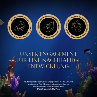 Unser Engagement für nachhaltige Entwicklung: verantwortungsvoller Fischfang, Umweltreduktion, Projekte zur Wiederherstellung von Korallenriffen. Mehr im Mars Sustainability Plan.