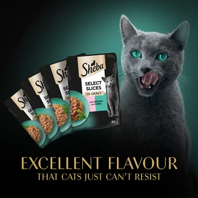 Sheba Select Slices in Gravy macskaeledel tasakok, 85 g, with salmon and coley felirattal. Excellent flavour that cats just can’t resist szöveg angolul.