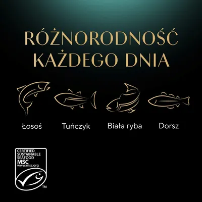 Różne rodzaje ryb: łosoś, tuńczyk, białoryb, dorsz. Certyfikowane przez MSC, zrównoważone owoce morza. Różne rodzaje ryb: łosoś, tuńczyk, białoryb, dorsz. Certyfikowane przez MSC, zrównoważone owoce morza.