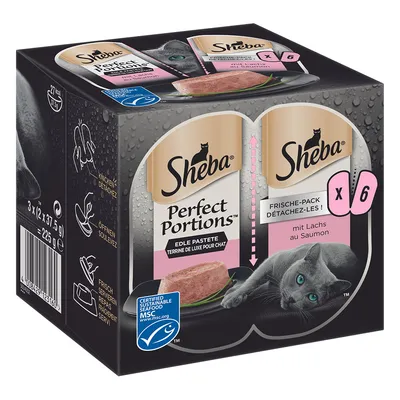 Sheba Perfect Portions fine pâté with salmon, Fresh Pack x6, certified sustainable seafood MSC.org, total weight 225g.