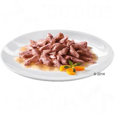 Stukjes natvoer in saus op een wit bord, daarnaast enkele gele groentestukjes en een groen blaadje. Stukjes natvoer in saus op een wit bord, daarnaast enkele gele groentestukjes en een groen blaadje.