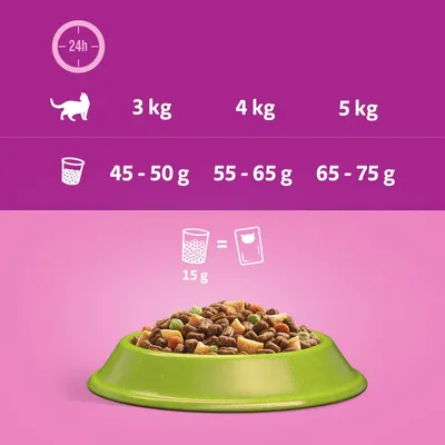 Feeding guide showing daily dry food amounts: 3kg cat 45-50g, 4kg cat 55-65g, 5kg cat 65-75g. 15g dry food equals one wet food pouch.