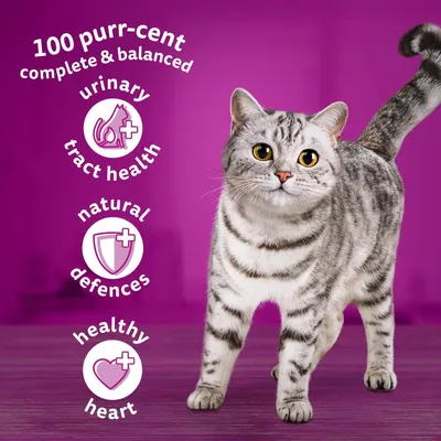 Image shows 100 percent complete and balanced, urinary tract health, natural defences, healthy heart benefits for a cat food product.