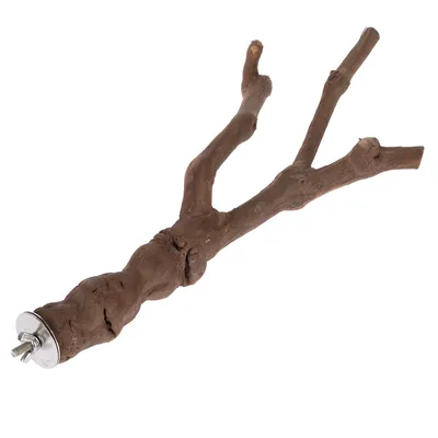 Natural wood perch with metal attachment, suitable for cages or aviaries.