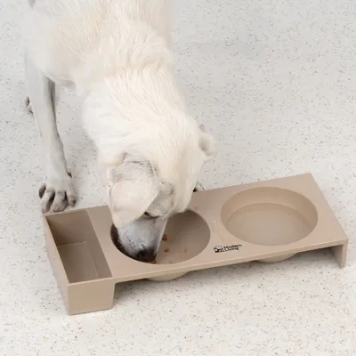 Comedero y bebedero claro de plástico con dos cuencos, marca Modern Living. Perro comiendo de uno de los cuencos.