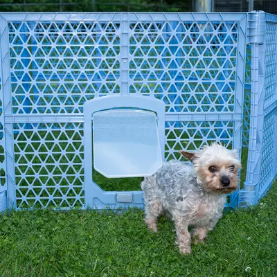 Țarc din plastic albastru cu design din grilaj și ușă integrată pe o pajiște. Țarcul are o deschidere pentru acces.
