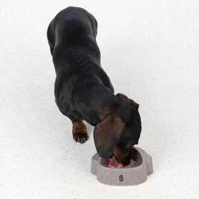 TIAKI миска из натуральных материалов "Маленькая собачка"