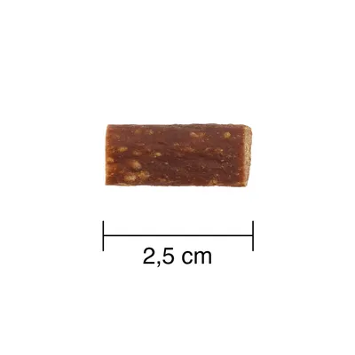 Povečava rjavega prigrizka dolžine 2,5 cm, spodaj vidna merilna oznaka.