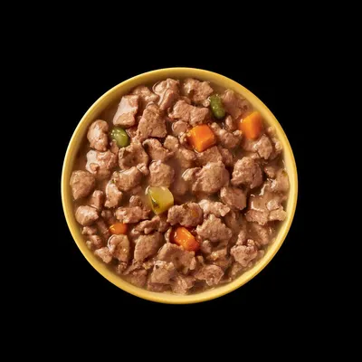 Mokra hrana v skledi: koščki mesa v omaki z vidnimi kosi korenja in graha.