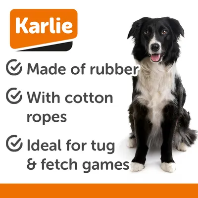 Karlie Action Ball Football