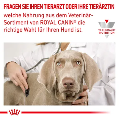 Fragen Sie Ihren Tierarzt oder Ihre Tierärztin, welche Nahrung aus dem Veterinär-Sortiment von Royal Canin die richtige Wahl für Ihren Hund ist.