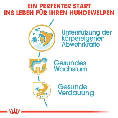 Ein perfekter Start ins Leben für Ihren Hundewelpen: Unterstützung der körpereigenen Abwehrkräfte, gesundes Wachstum, gesunde Verdauung.