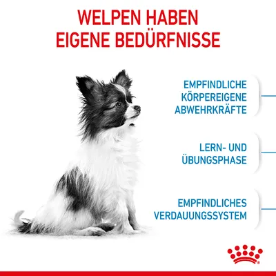 Welpen haben eigene Bedürfnisse: empfindliche körpereigene Abwehrkräfte, Lern- und Übungsphase, empfindliches Verdauungssystem. Royal Canin Logo unten rechts.