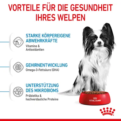 Vorteile für die Gesundheit Ihres Welpen: Starke Abwehrkräfte mit Vitaminen & Antioxidantien, Gehirnentwicklung mit Omega-3-Fettsäuren (DHA), Unterstützung des Mikrobioms mit Präbiotika & Proteinen.