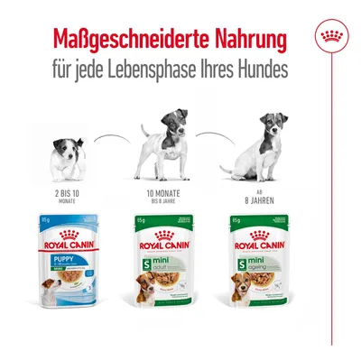Royal Canin Nahrung für Hunde: Puppy 2 bis 10 Monate, Mini Adult 10 Monate bis 8 Jahre, Mini Ageing ab 8 Jahren. Massgeschneiderte Ernährung für jede Lebensphase Ihres Hundes.