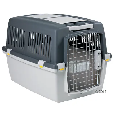 Plastový přepravní box s kovovými dvířky a ventilačními otvory po stranách, šedá a tmavě šedá barva, uzamykatelné západky.